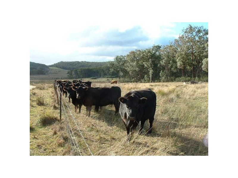 ‘Athlone East’ Stone Hut Road, Retreat NSW 2355