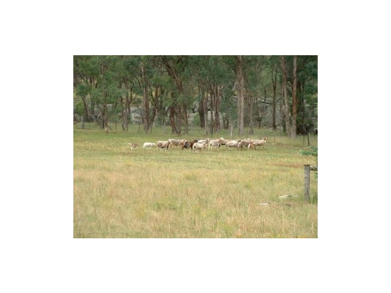 ‘Wilga’ Retreat Road, Balala NSW 2358