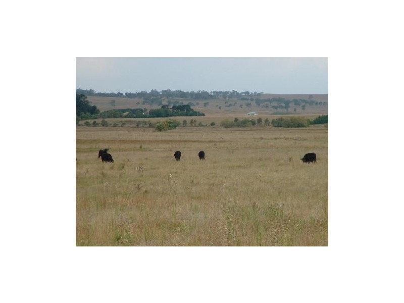 663 The Gap Road, Uralla NSW 2358