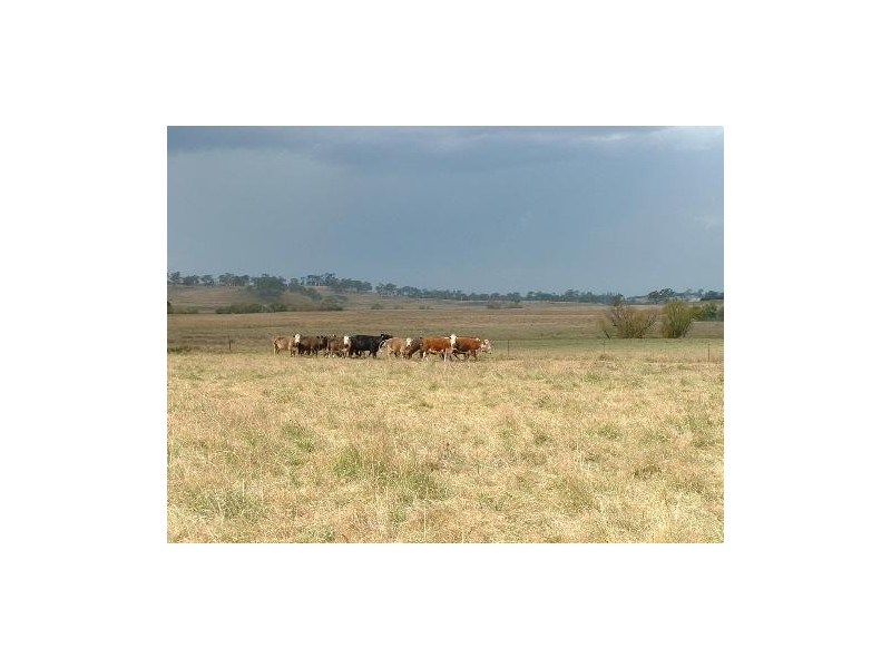 663 The Gap Road, Uralla NSW 2358