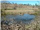 Lot 1, 94 Caroline Street, Bendemeer NSW 2355