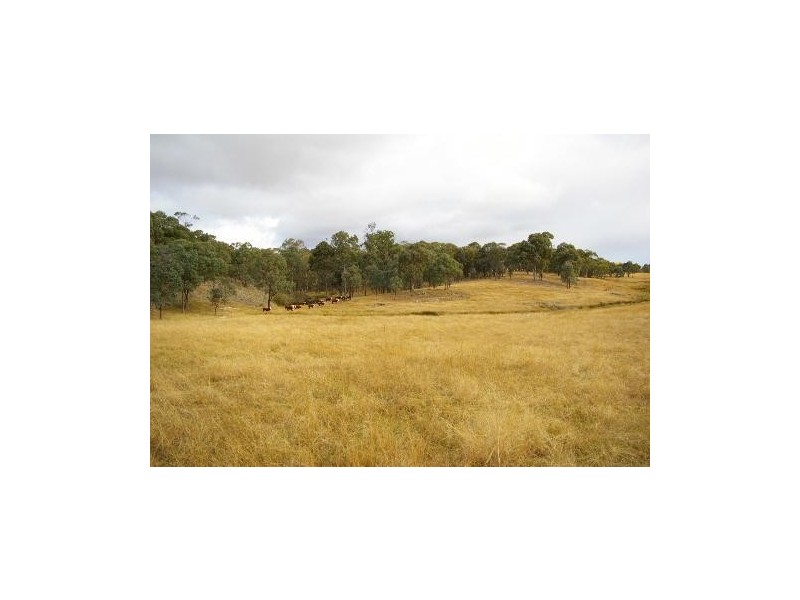 “Jacks Creek” Hillview Road, Uralla NSW 2358