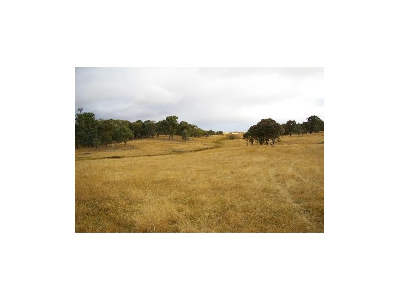 “Jacks Creek” Hillview Road, Uralla NSW 2358