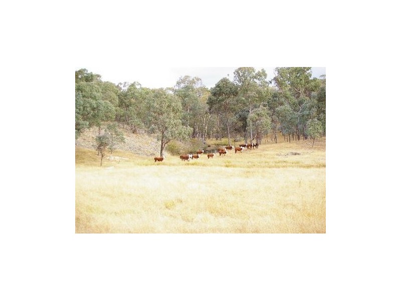 “Jacks Creek” Hillview Road, Uralla NSW 2358