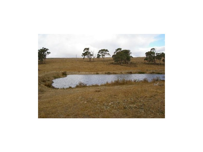 ‘Kings’ Hillview Road, Uralla NSW 2358