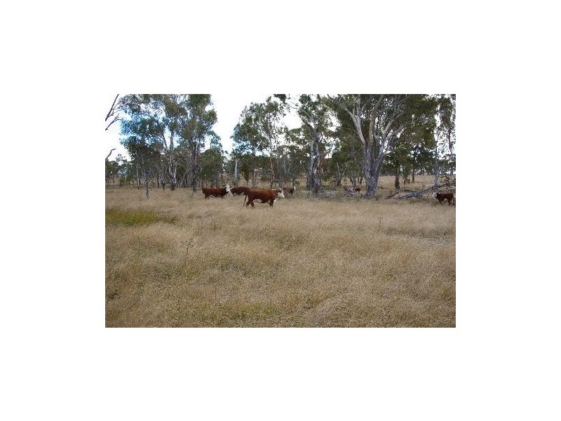 ‘Kings’ Hillview Road, Uralla NSW 2358