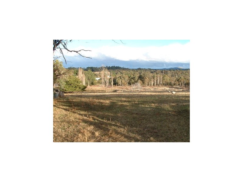 L392 Sawpitt Gully Loop, Uralla NSW 2358