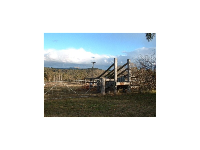 L392 Sawpitt Gully Loop, Uralla NSW 2358