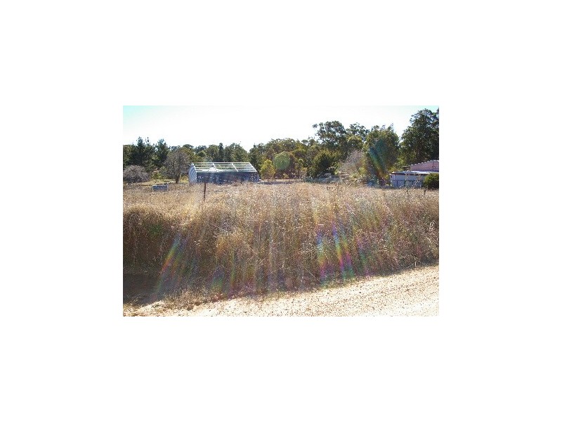 296 Thunderbolts Way, Rocky River NSW 2358