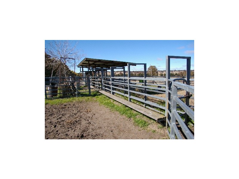 “Boro Creek” Wollun Road, Walcha NSW 2354