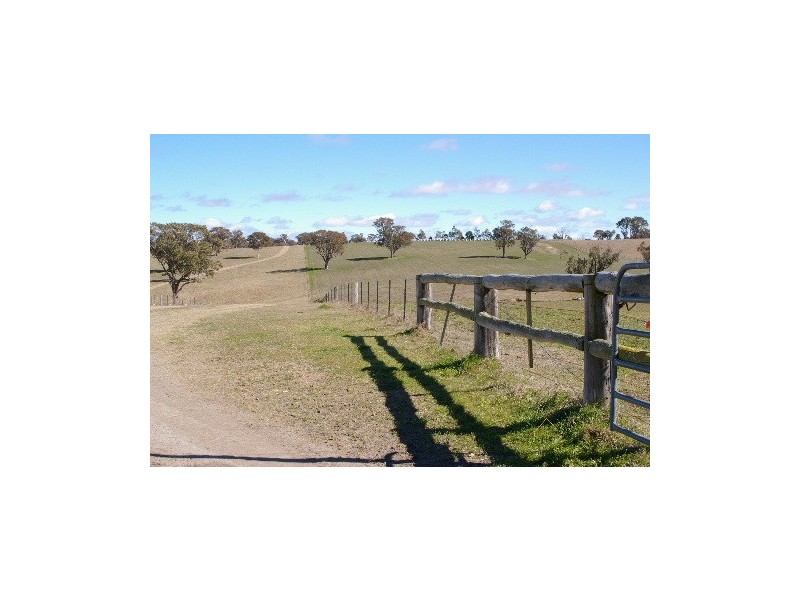 “Boro Creek” Wollun Road, Walcha NSW 2354