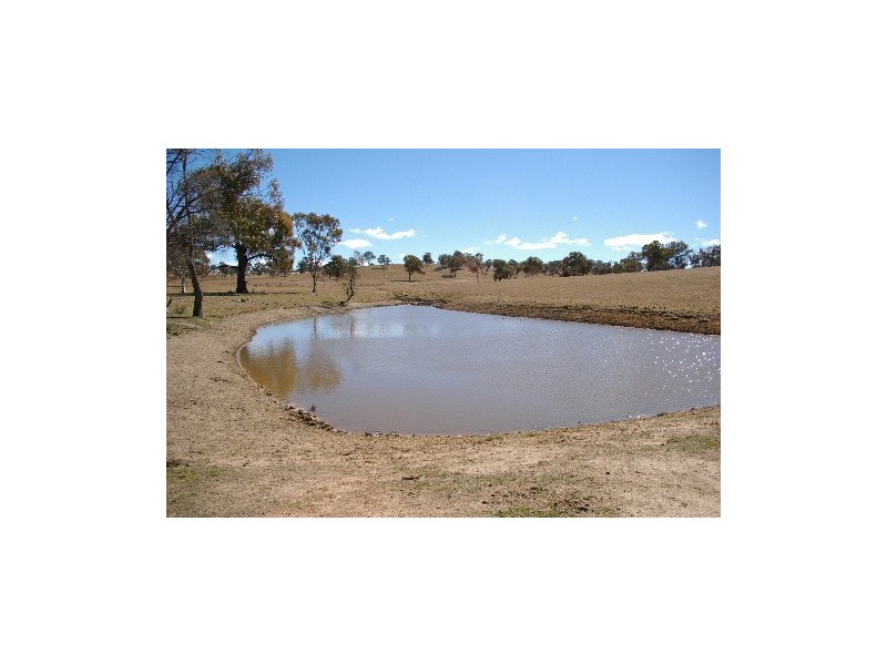 “Boro Creek” Wollun Road, Walcha NSW 2354