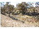 “Boro Creek” Wollun Road, Walcha NSW 2354