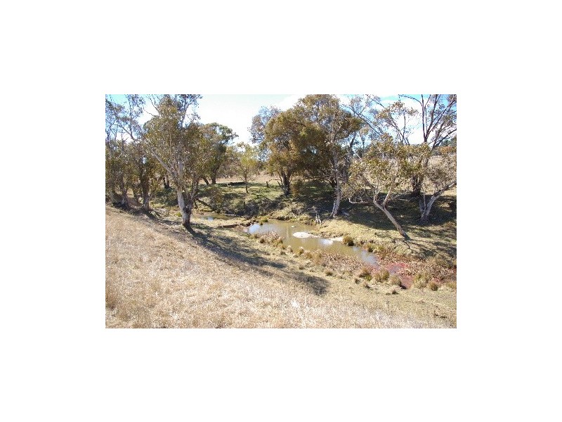 “Boro Creek” Wollun Road, Walcha NSW 2354