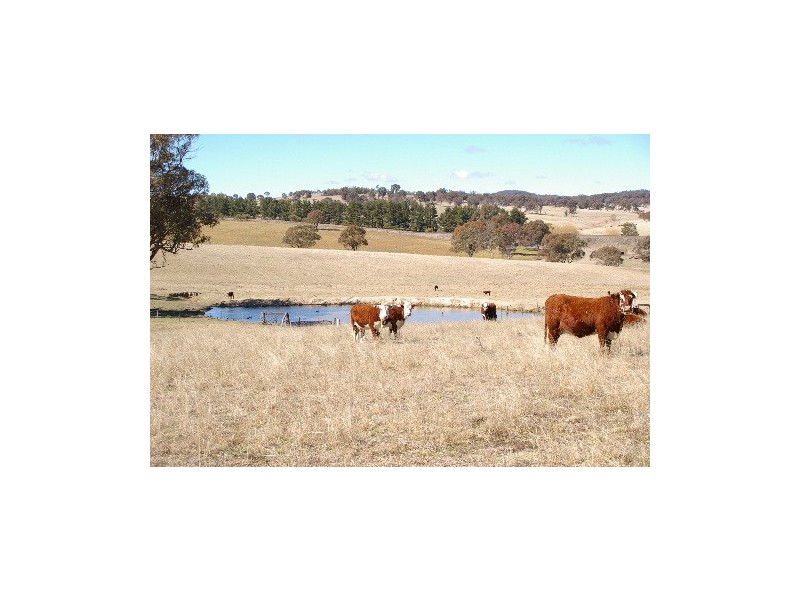 “Boro Creek” Wollun Road, Walcha NSW 2354