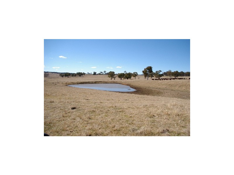 “Bourkes” Warrembah Road, Walcha NSW 2354