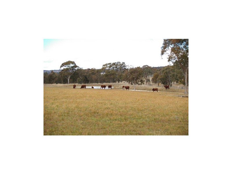 30 Devoncourt Road, Uralla NSW 2358