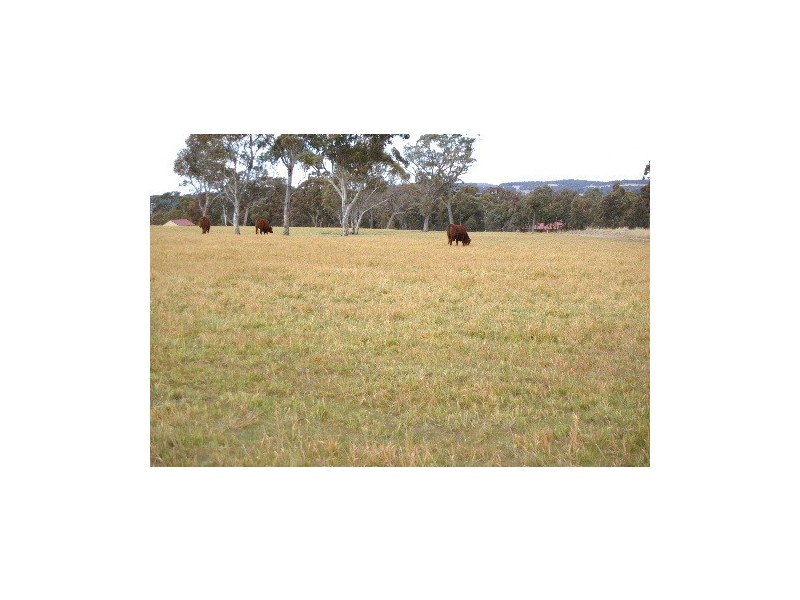 30 Devoncourt Road, Uralla NSW 2358