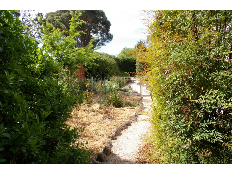 5 King Street, Uralla NSW 2358