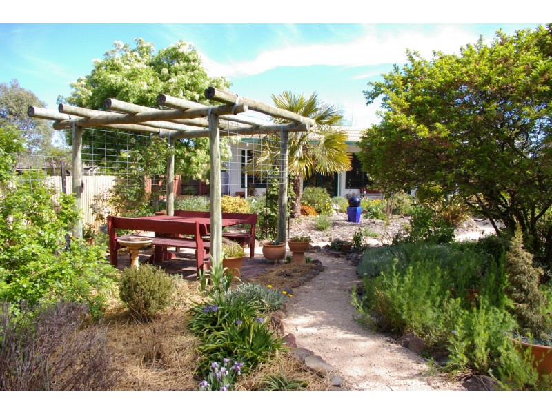 5 King Street, Uralla NSW 2358