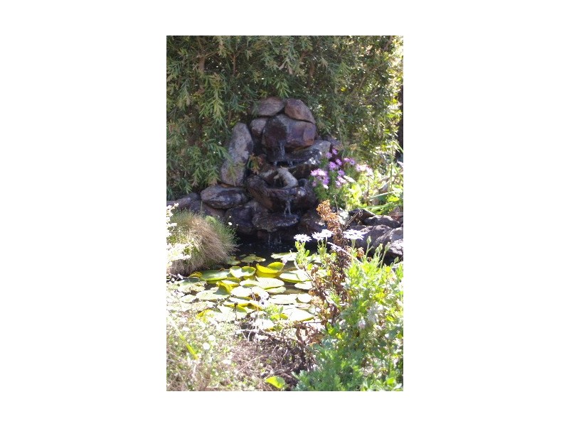 5 King Street, Uralla NSW 2358