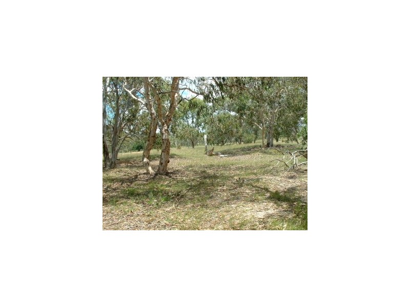 21 Fanny Street, Bendemeer NSW 2355