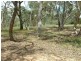 21 Fanny Street, Bendemeer NSW 2355