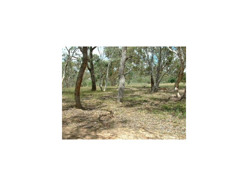 21 Fanny Street, Bendemeer NSW 2355