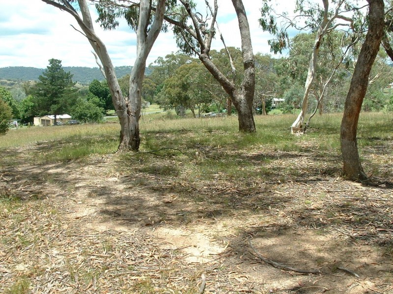 21 Fanny Street, Bendemeer NSW 2355