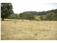 ‘Bellevue Downs’ Dungowan-Nowendoc Road, Niangala NSW 2354
