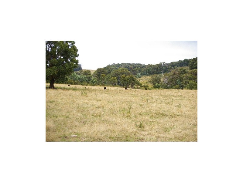 ‘Bellevue Downs’ Dungowan-Nowendoc Road, Niangala NSW 2354