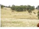 ‘Bellevue Downs’ Dungowan-Nowendoc Road, Niangala NSW 2354