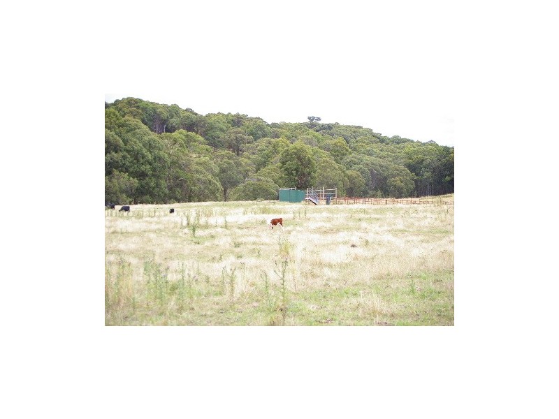 ‘Bellevue Downs’ Dungowan-Nowendoc Road, Niangala NSW 2354