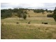 ‘Bellevue Downs’ Dungowan-Nowendoc Road, Niangala NSW 2354