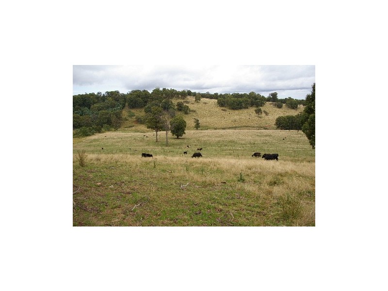 ‘Bellevue Downs’ Dungowan-Nowendoc Road, Niangala NSW 2354