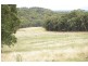 ‘Bellevue Downs’ Dungowan-Nowendoc Road, Niangala NSW 2354