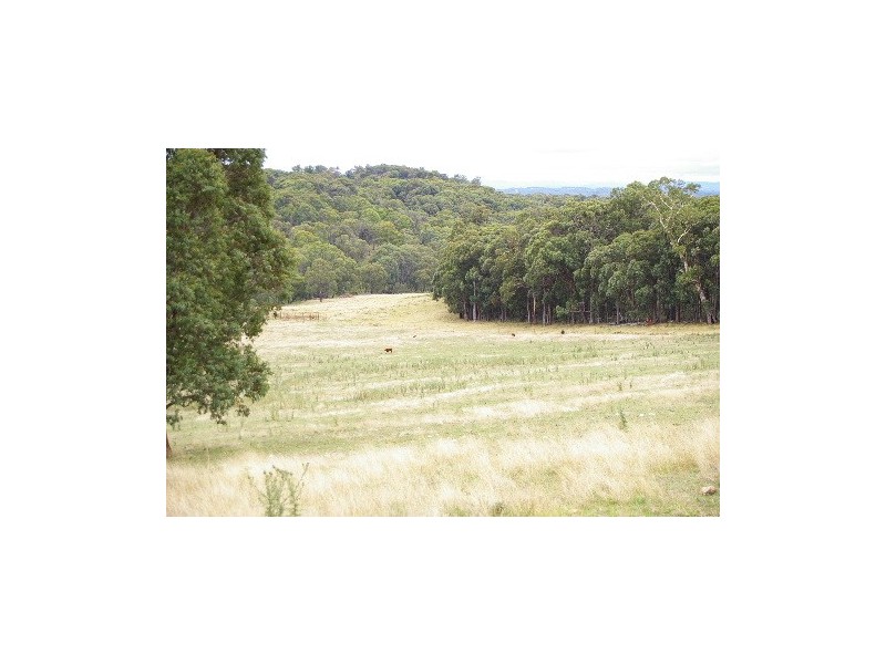 ‘Bellevue Downs’ Dungowan-Nowendoc Road, Niangala NSW 2354