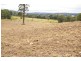 ‘Bellevue Downs’ Dungowan-Nowendoc Road, Niangala NSW 2354