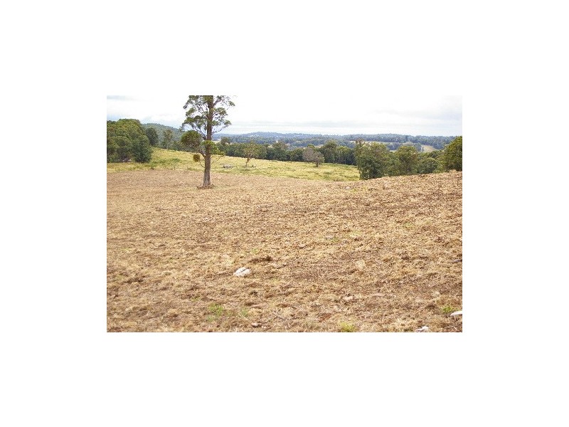 ‘Bellevue Downs’ Dungowan-Nowendoc Road, Niangala NSW 2354