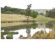 ‘Bellevue Downs’ Dungowan-Nowendoc Road, Niangala NSW 2354