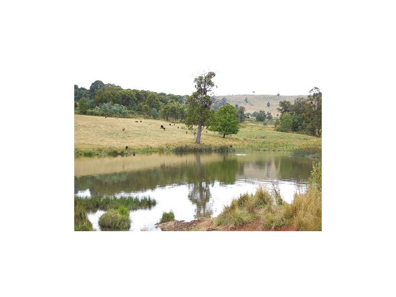 ‘Bellevue Downs’ Dungowan-Nowendoc Road, Niangala NSW 2354
