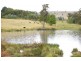 ‘Bellevue Downs’ Dungowan-Nowendoc Road, Niangala NSW 2354