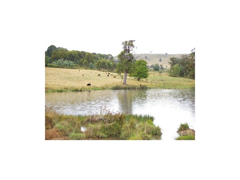 ‘Bellevue Downs’ Dungowan-Nowendoc Road, Niangala NSW 2354