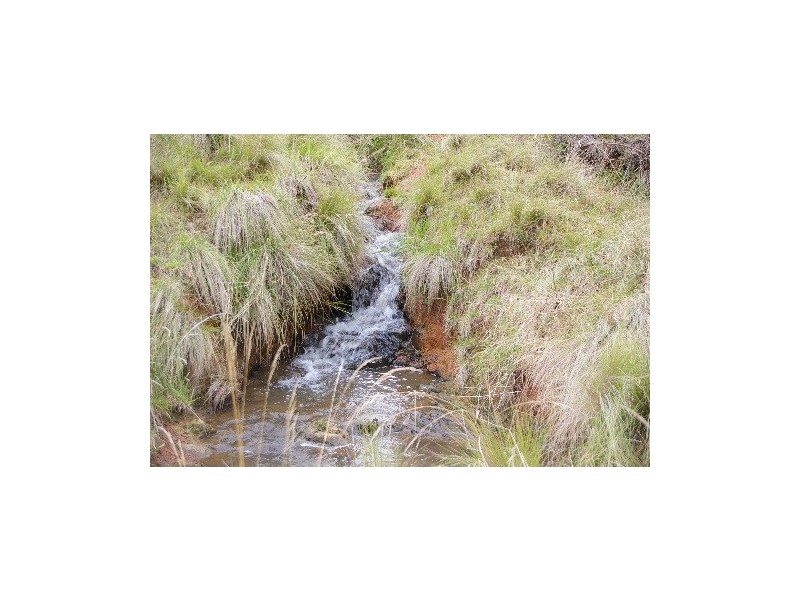 ‘Bellevue Downs’ Dungowan-Nowendoc Road, Niangala NSW 2354