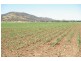 “Afton Water” Back Kootingal Road, Tamworth NSW 2340