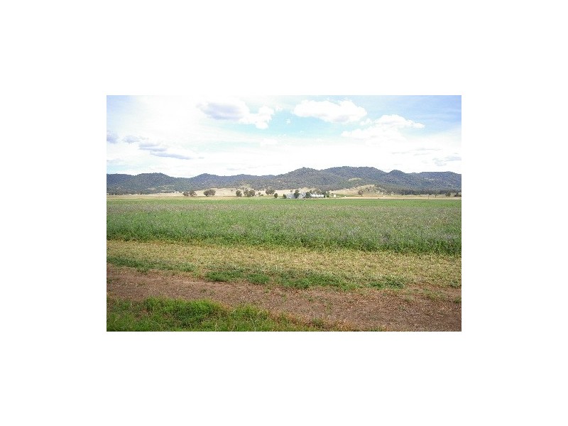“Afton Water” Back Kootingal Road, Tamworth NSW 2340