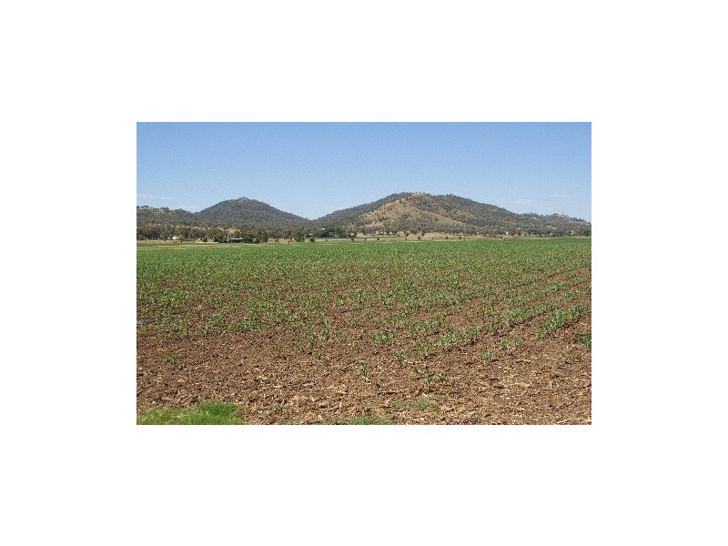 “Afton Water” Back Kootingal Road, Tamworth NSW 2340