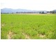 “Afton Water” Back Kootingal Road, Tamworth NSW 2340