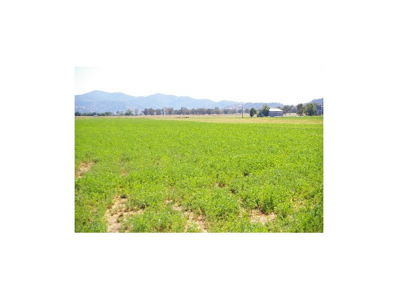“Afton Water” Back Kootingal Road, Tamworth NSW 2340