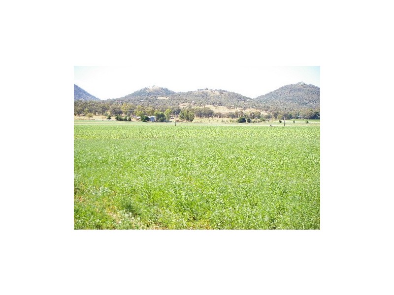 “Afton Water” Back Kootingal Road, Tamworth NSW 2340